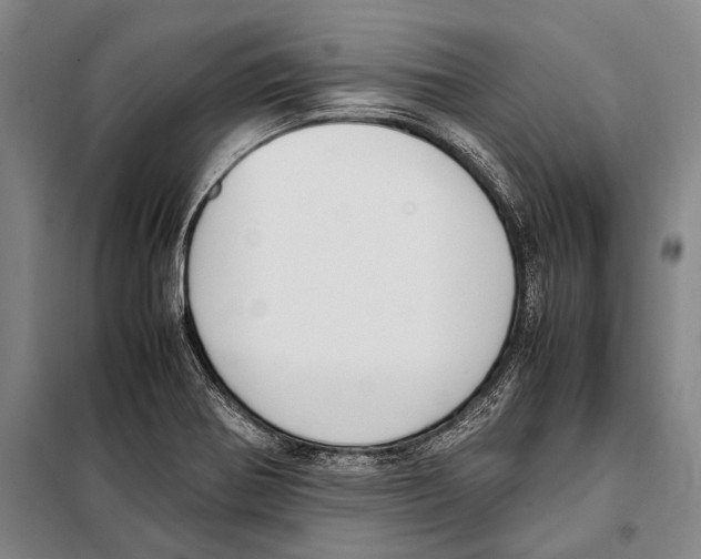 X0000097981370200804211027