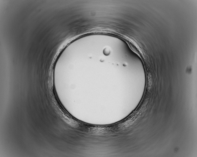 X0000097981371200804211027