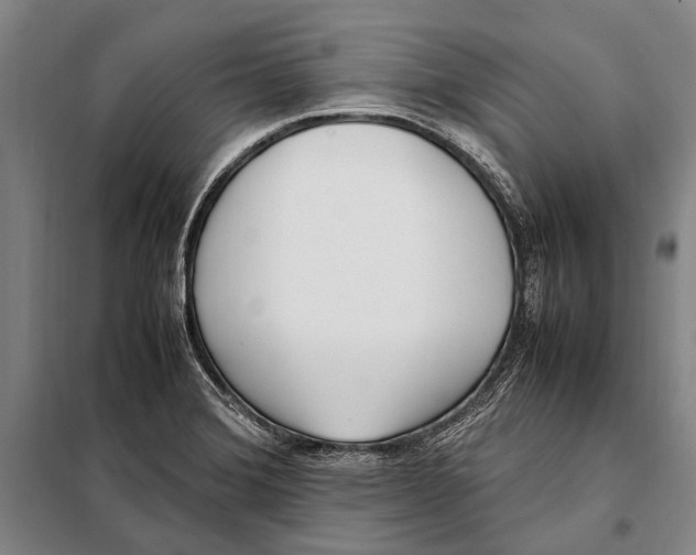 X0000097981372200804211027