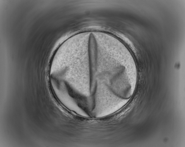 X0000097981373200804211027