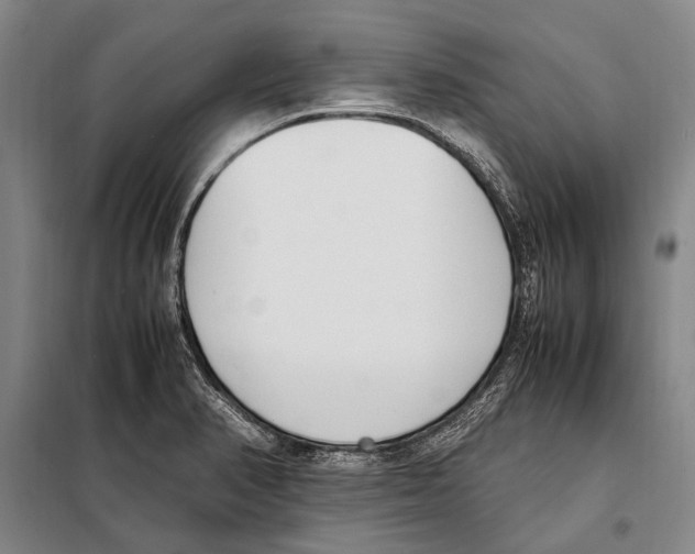 X0000097981374200804211027