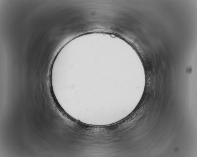 X0000097981375200804211027