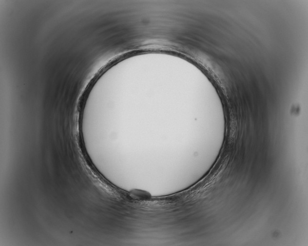 X0000097981376200804211027