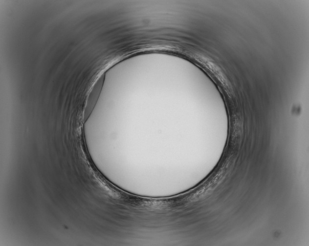 X0000097981377200804211027