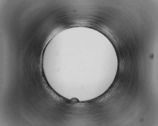 X0000097981378200804211027