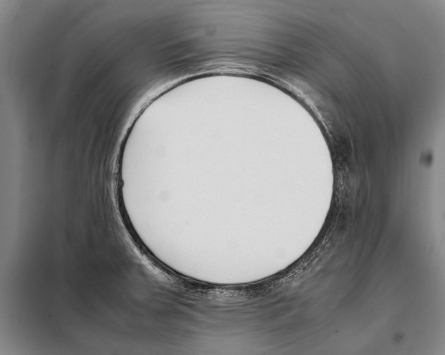 X0000097981379200804211027