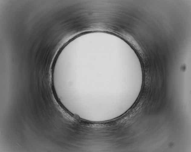 X0000097981380200804211027