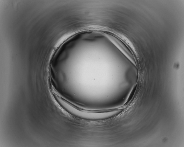 X0000097981381200804211027