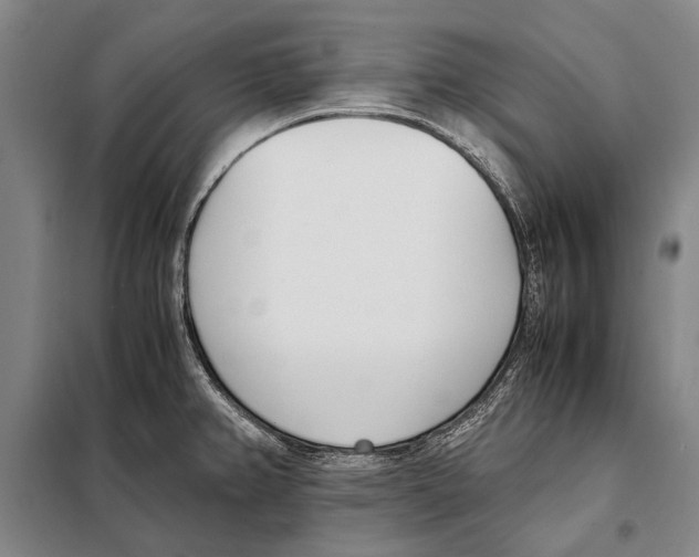 X0000097981382200804211027