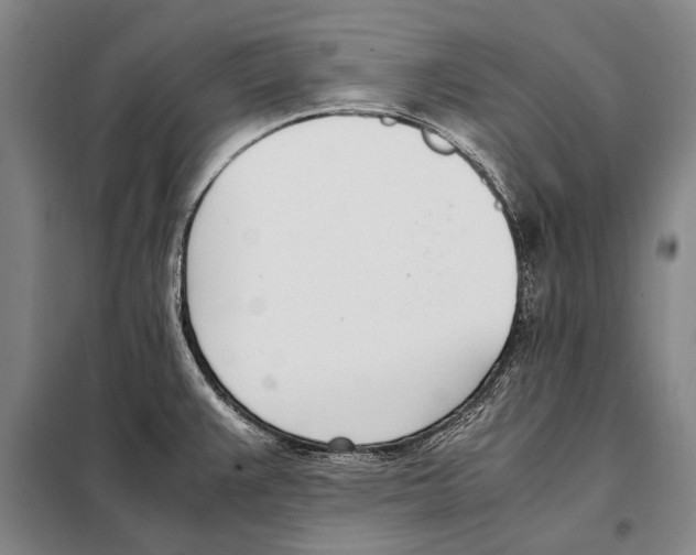 X0000097981383200804211027