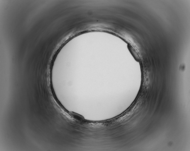 X0000097981384200804211027