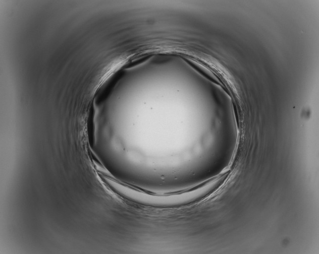 X0000097981385200804211027