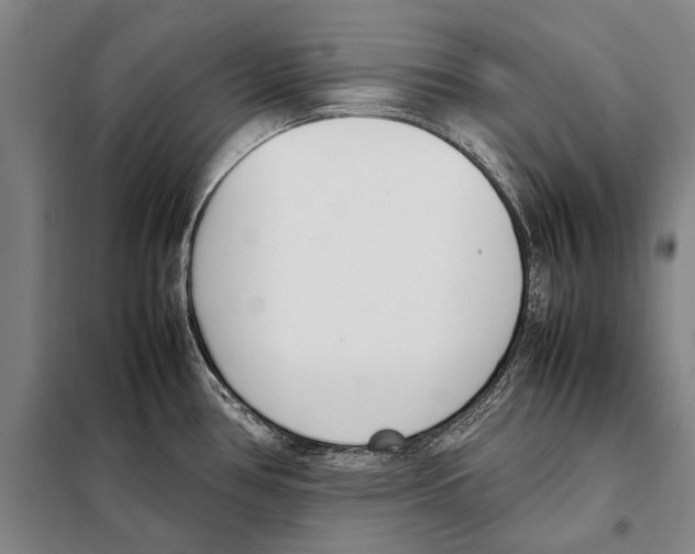 X0000097981386200804211027