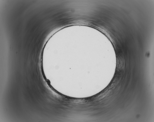 X0000097981387200804211027