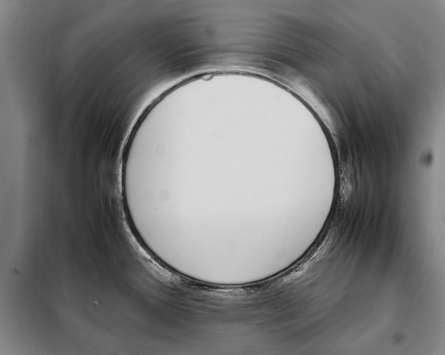 X0000097981388200804211027