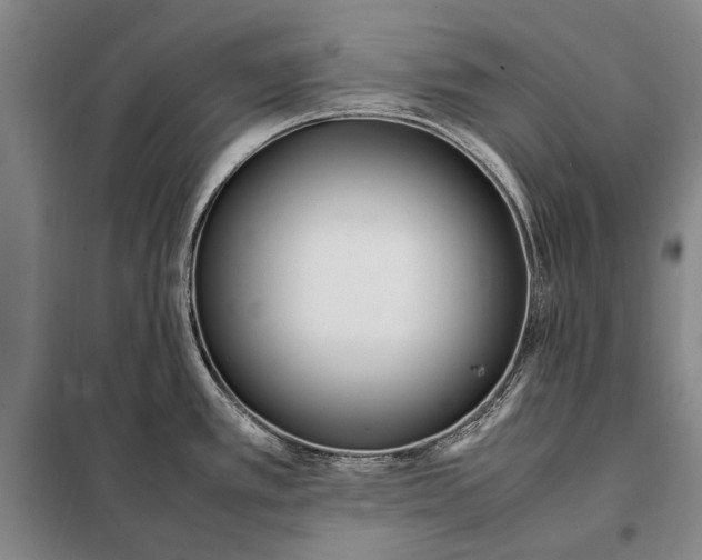 X0000097981389200804211027