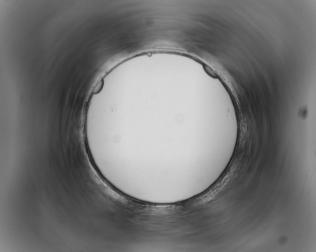 X0000097981390200804211027