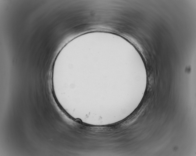 X0000097981391200804211027