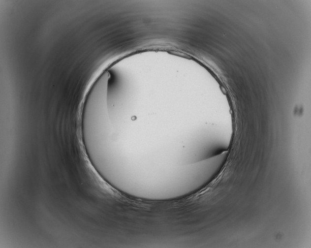 X0000097981392200804211027