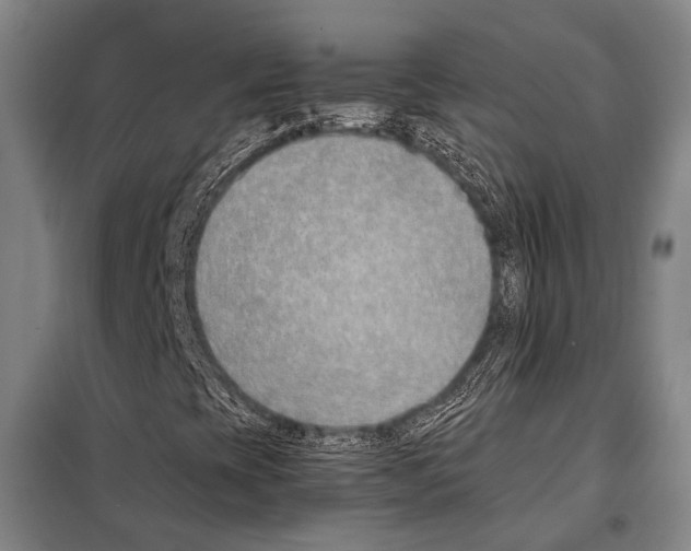 X0000097981393200804211026