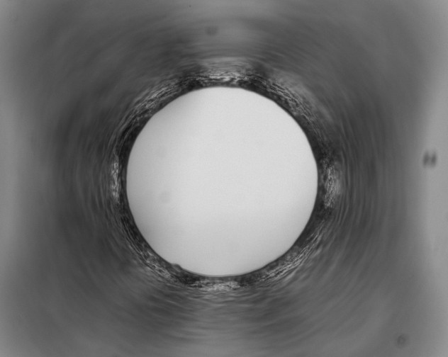 X0000097981394200804211026