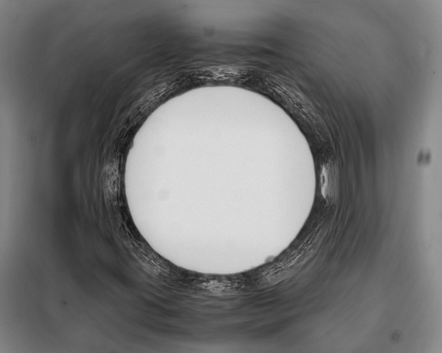 X0000097981395200804211026