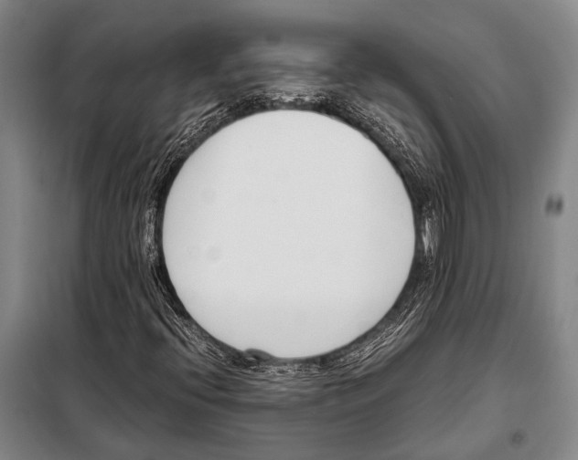 X0000097981396200804211026