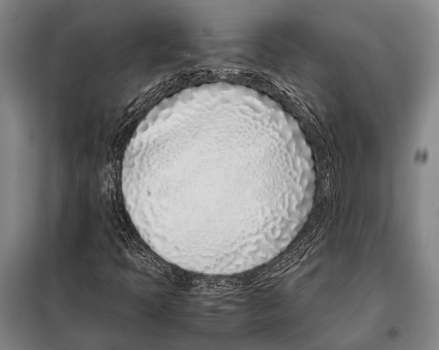 X0000097981397200804211026