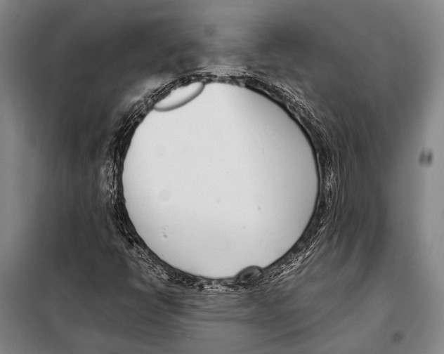 X0000097981398200804211026