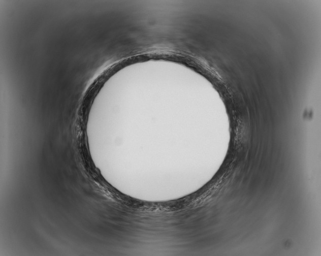 X0000097981400200804211026