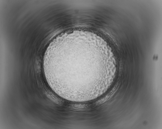 X0000097981401200804211026