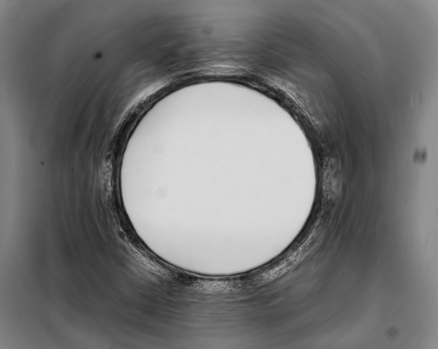 X0000097981402200804211026