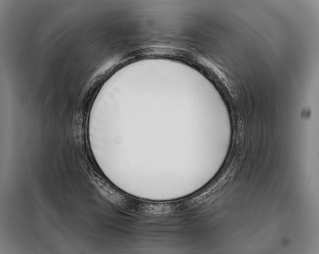 X0000097981403200804211026