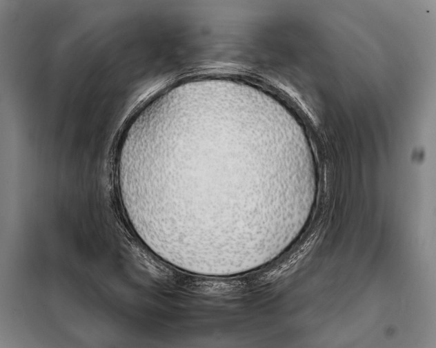 X0000097981405200804211026