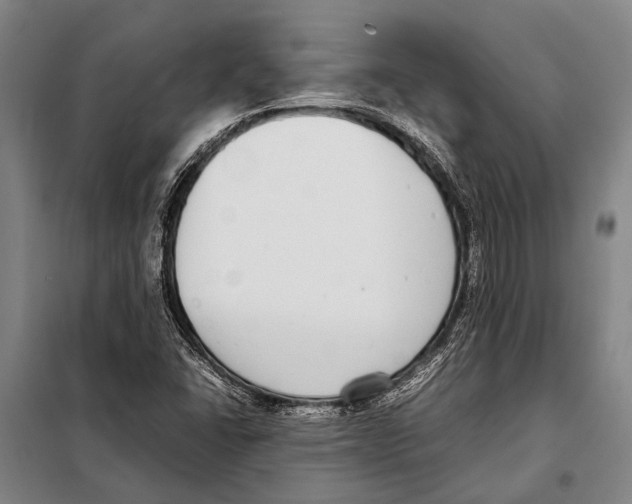 X0000097981406200804211026