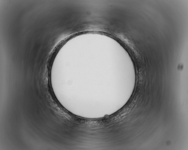 X0000097981408200804211026