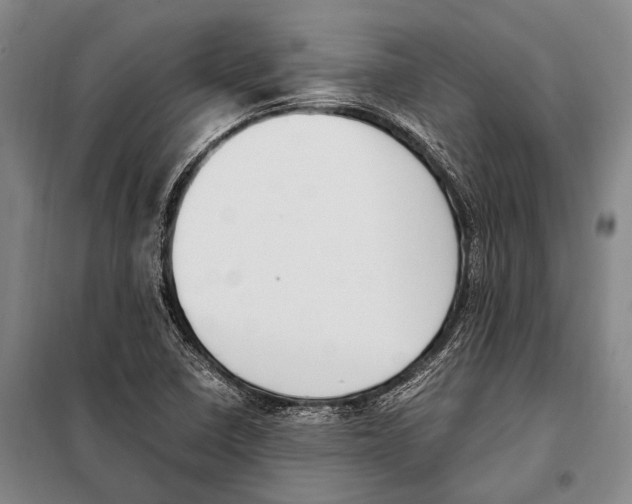 X0000097981410200804211026