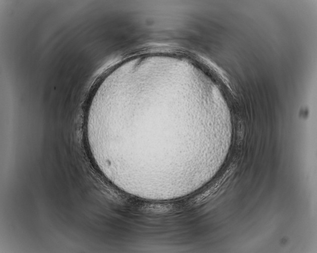 X0000097981411200804211026