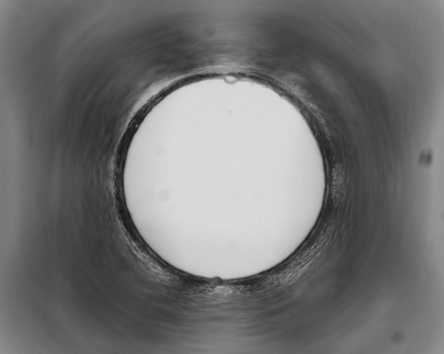 X0000097981412200804211026