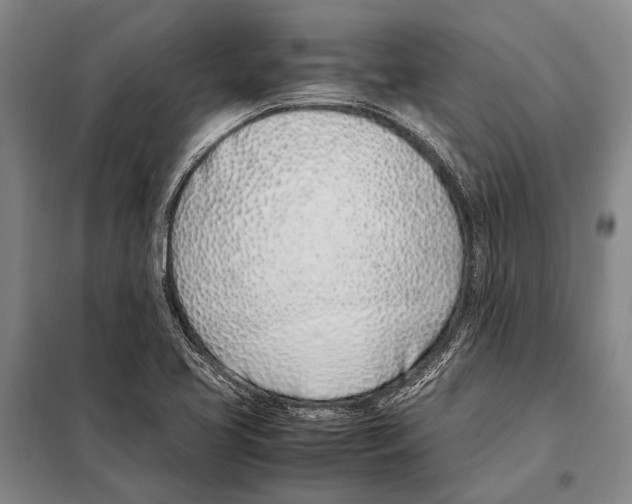 X0000097981413200804211026