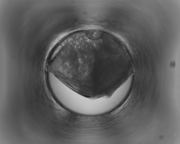 X0000097981414200804211026