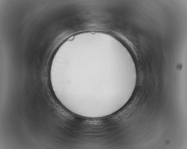 X0000097981415200804211026