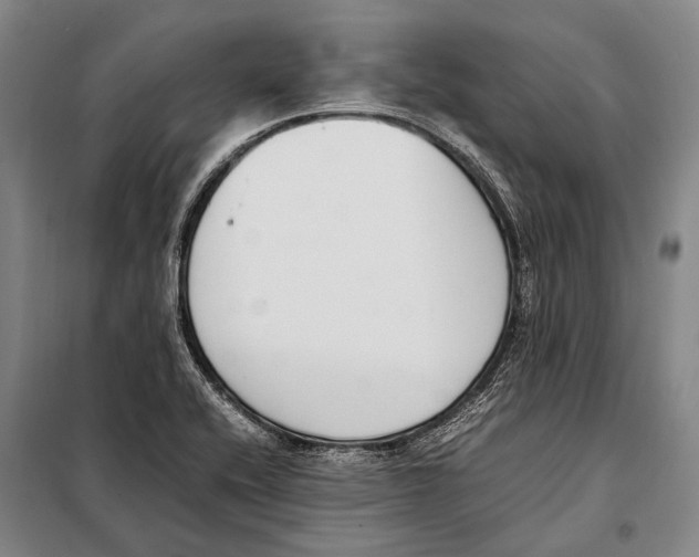 X0000097981416200804211026