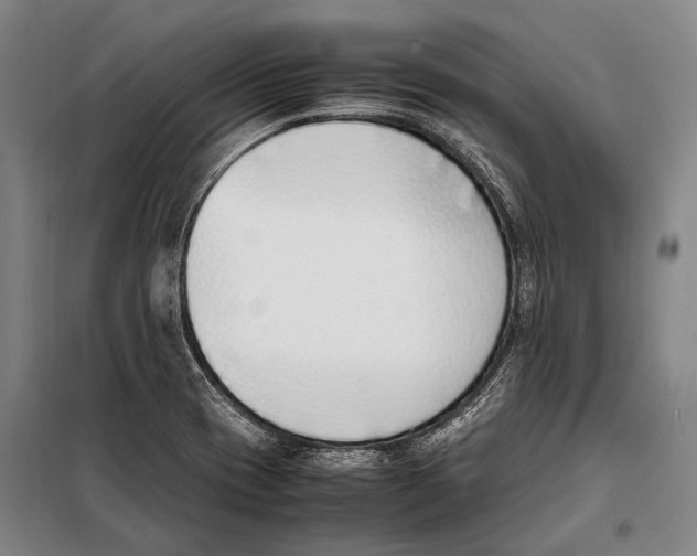 X0000097981417200804211026