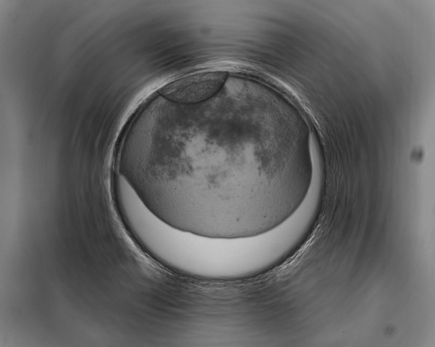 X0000097981418200804211026