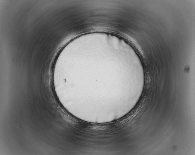 X0000097981419200804211026