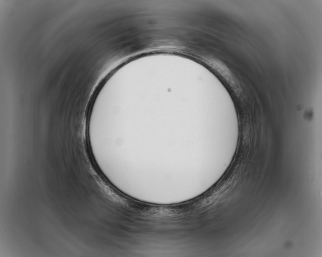 X0000097981420200804211026