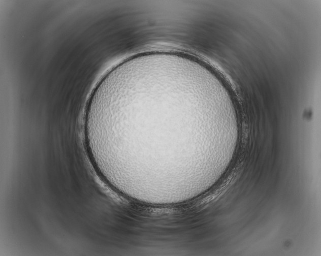 X0000097981421200804211026