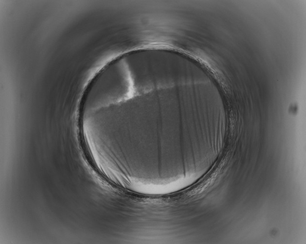 X0000097981422200804211026