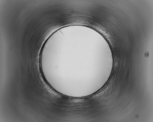 X0000097981423200804211026